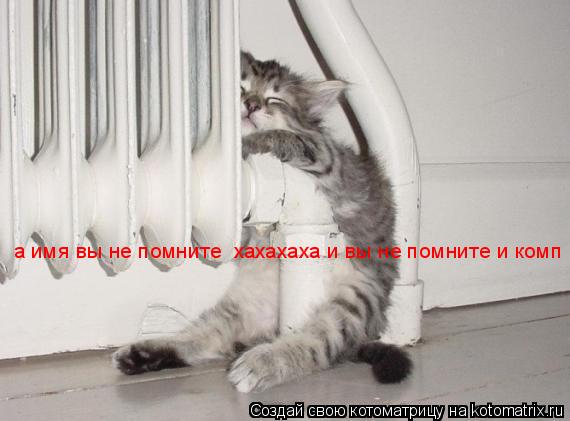 а имя вы не помните хахахаха и вы не помните и комп... Котоматрица: а имя вы не помните хахахаха и вы не помните и комп
