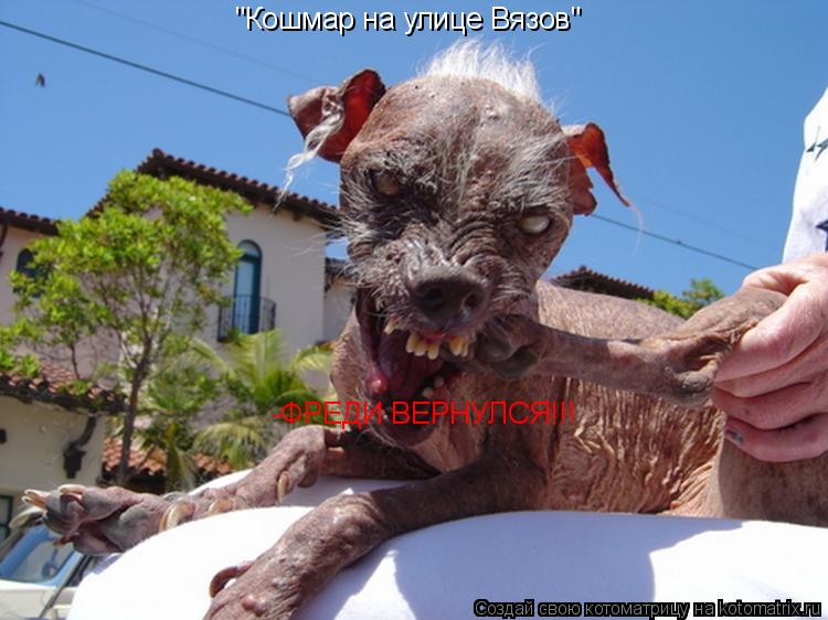 "Кошмар на улице Вязов" -ФРЕДИ ВЕРНУЛСЯ!!!... Котоматрица: "Кошмар на улице Вязов" -ФРЕДИ ВЕРНУЛСЯ!!!