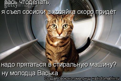 надо прятаться в стиральную машину? вась чтоделать, я съел сосиски а хозяйка скоро придёт ну молодца ... Котоматрица: надо прятаться в стиральную машину? вась чтоделать, я съел сосиски а хозяйка скоро придёт ну молодца Васька