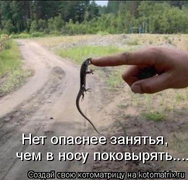 Нет опаснее занятья, чем в носу поковырять........ Котоматрица: Нет опаснее занятья, чем в носу поковырять.....