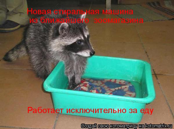 Новая стиральная машина из ближайшего зоомагазина Работает исключительно за еду... Котоматрица: Новая стиральная машина из ближайшего зоомагазина Работает исключительно за еду