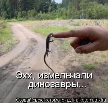 Эхх, измельчали динозавры...... Котоматрица: Эхх, измельчали динозавры...