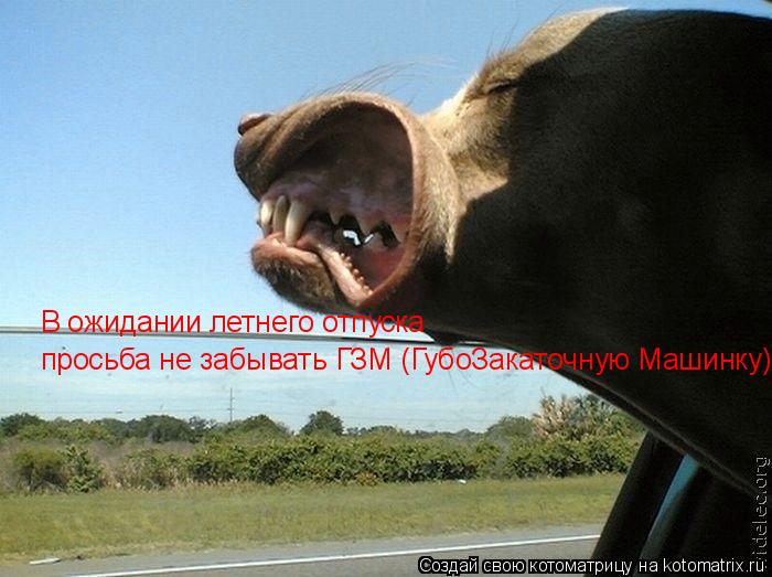 В ожидании летнего отпуска просьба не забывать ГЗМ (ГубоЗакаточную Машинку)... Котоматрица: В ожидании летнего отпуска просьба не забывать ГЗМ (ГубоЗакаточную Машинку)