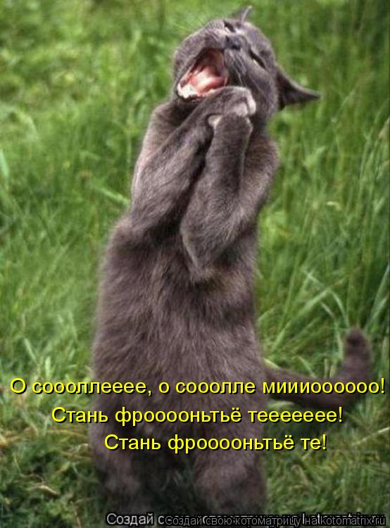 О соооллееее, о сооолле миииоооооо! Стань фрооооньтьё те! Стань фрооооньтьё теееееее!... Котоматрица: О соооллееее, о сооолле миииоооооо! Стань фрооооньтьё те! Стань фрооооньтьё теееееее!