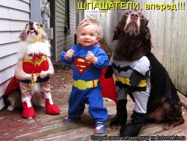 ШПАШАТЕЛИ, вперед!!!... Котоматрица: ШПАШАТЕЛИ, вперед!!!