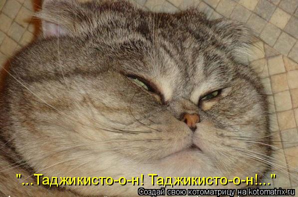"...Таджикисто-о-н! Таджикисто-о-н!..."... Котоматрица: "...Таджикисто-о-н! Таджикисто-о-н!..."