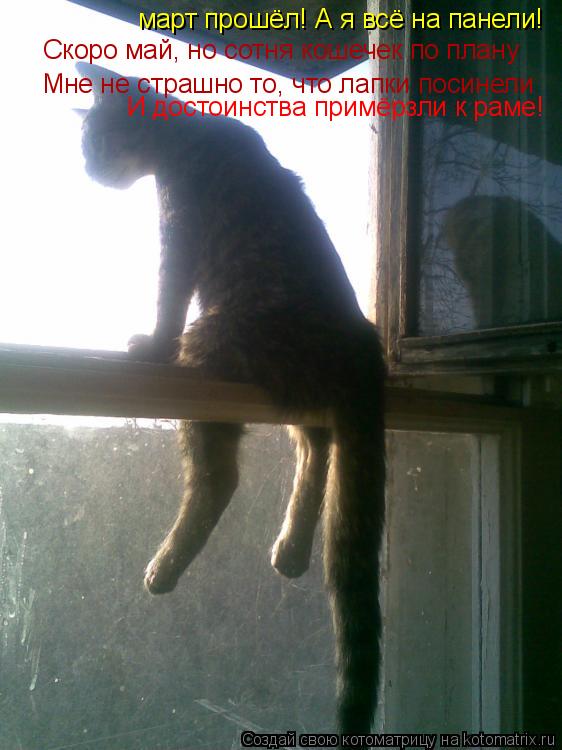 март прошёл! А я всё на панели! Скоро май, но сотня кошечек по плану Мне не страшно то, что лапки пос... Котоматрица: март прошёл! А я всё на панели! Скоро май, но сотня кошечек по плану Мне не страшно то, что лапки посинели И достоинства примёрзли к раме!