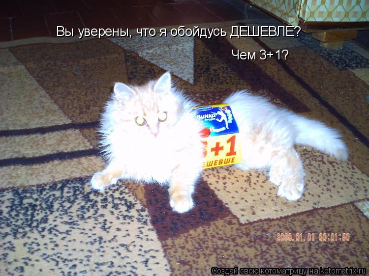 Вы уверены, что я обойдусь ДЕШЕВЛЕ? Чем 3+1?... Котоматрица: Вы уверены, что я обойдусь ДЕШЕВЛЕ? Чем 3+1?