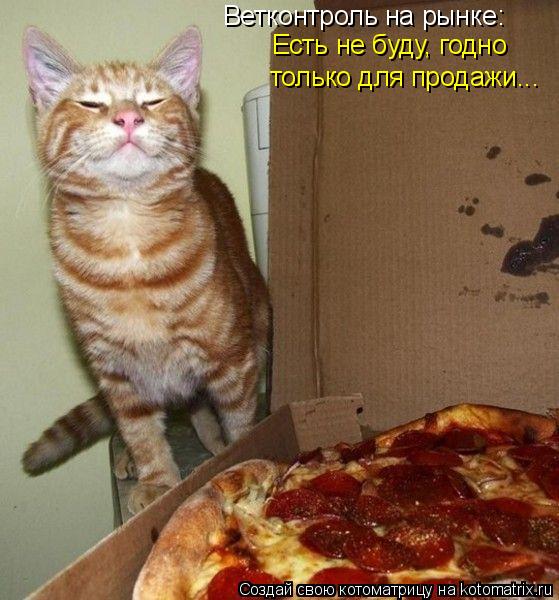 Есть не буду, годно только для продажи... Ветконтроль на рынке:... Котоматрица: Есть не буду, годно только для продажи... Ветконтроль на рынке: