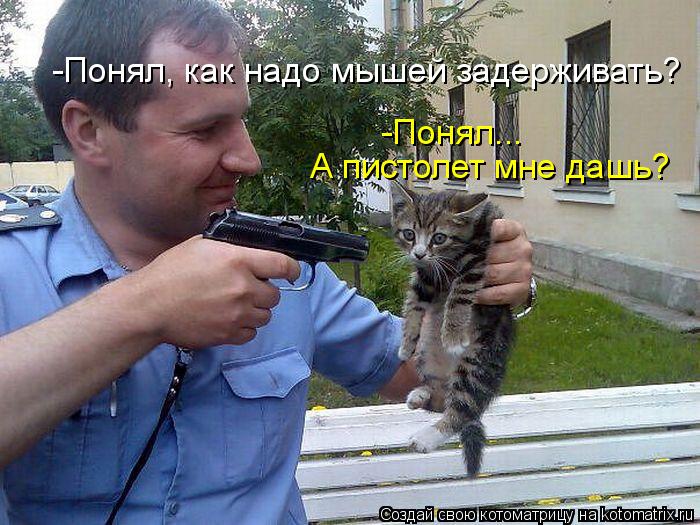-Понял, как надо мышей задерживать? -Понял... А пистолет мне дашь?... Котоматрица: -Понял, как надо мышей задерживать? -Понял... А пистолет мне дашь?