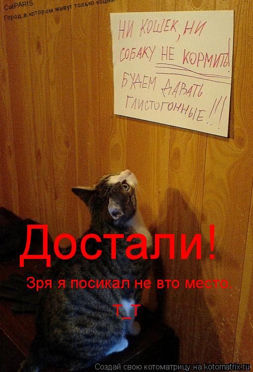 Достали! Зря я посикал не вто место. Т_Т CatPARIS Город,в котором живут только кошки.... Котоматрица: Достали! Зря я посикал не вто место. Т_Т CatPARIS Город,в котором живут только кошки.