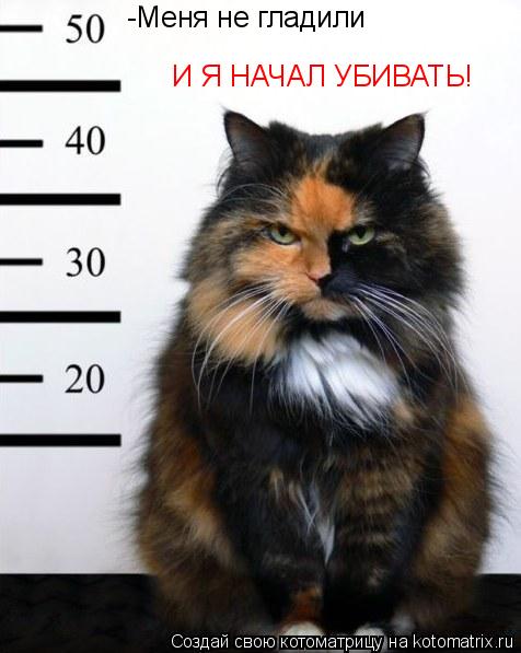-Меня не гладили И Я НАЧАЛ УБИВАТЬ!... Котоматрица: -Меня не гладили И Я НАЧАЛ УБИВАТЬ!