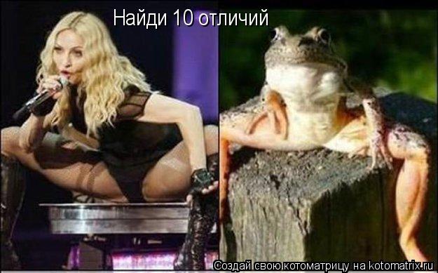 Найди 10 отличий... Котоматрица: Найди 10 отличий