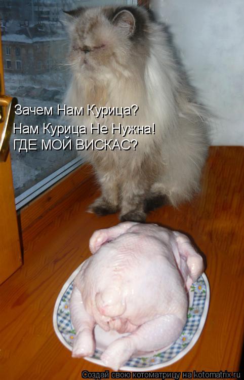 Зачем Нам Курица? Нам Курица Не Нужна! ГДЕ МОЙ ВИСКАС?... Котоматрица: Зачем Нам Курица? Нам Курица Не Нужна! ГДЕ МОЙ ВИСКАС?