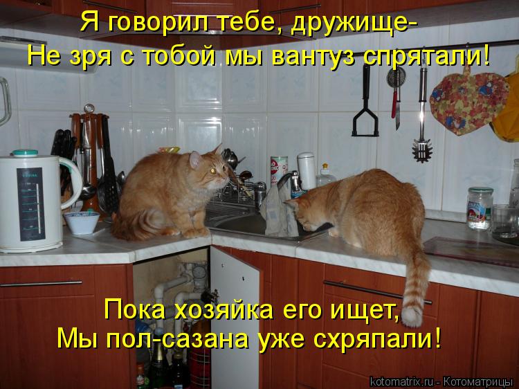 Я говорил тебе, дружище- Не зря с тобой мы вантуз спрятали! Пока хозяйка его ищет, Мы пол-сазана уже ... Котоматрица: Я говорил тебе, дружище- Не зря с тобой мы вантуз спрятали! Пока хозяйка его ищет, Мы пол-сазана уже схряпали!