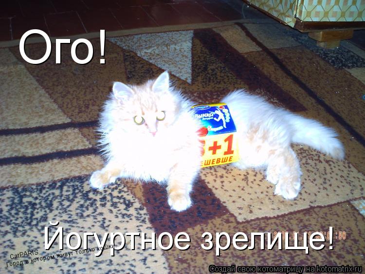 Ого! Йогуртное зрелище! CatPARIS Город,в котором живут только кошки.... Котоматрица: Ого! Йогуртное зрелище! CatPARIS Город,в котором живут только кошки.