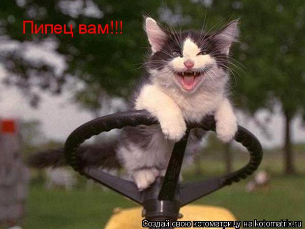 Пипец вам!!!... Котоматрица: Пипец вам!!!