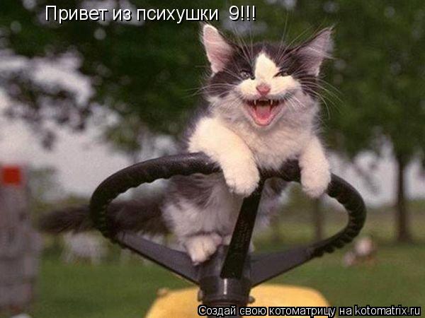 Привет из психушки №9!!!... Котоматрица: Привет из психушки №9!!!