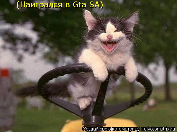(Наигрался в Gta SA)... Котоматрица: (Наигрался в Gta SA)