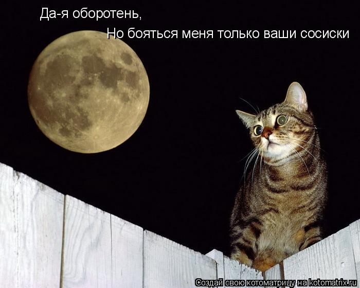 Да-я оборотень, Но бояться меня только ваши сосиски... Котоматрица: Да-я оборотень, Но бояться меня только ваши сосиски