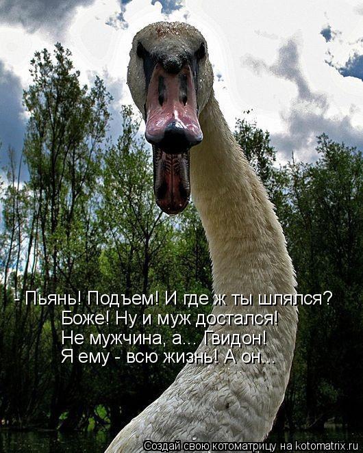 - Пьянь! Подъем! И где ж ты шлялся? Боже! Ну и муж достался! Не мужчина, а... Гвидон! Я ему - всю жиз... Котоматрица: - Пьянь! Подъем! И где ж ты шлялся? Боже! Ну и муж достался! Не мужчина, а... Гвидон! Я ему - всю жизнь! А он...