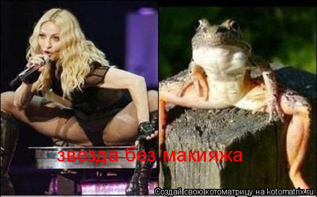 звезда без макияжа... Котоматрица: звезда без макияжа