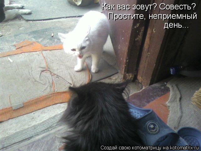 Как вас зовут? Совесть? Простите, неприемный день...... Котоматрица: Как вас зовут? Совесть? Простите, неприемный день...