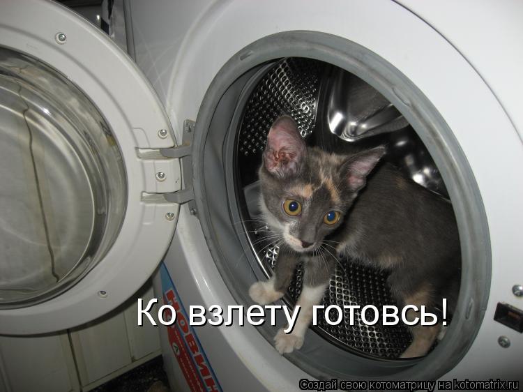 Ко взлету готовсь!... Котоматрица: Ко взлету готовсь!