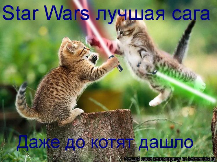 Даже до котят дашло Star Wars лучшая сага... Котоматрица: Даже до котят дашло Star Wars лучшая сага