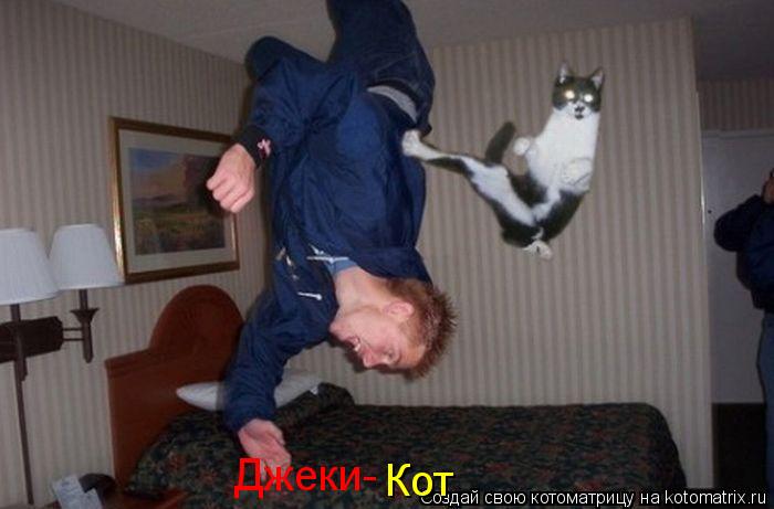 Джеки- Кот... Котоматрица: Джеки- Кот