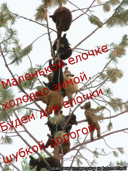 Маленькой елочке холодно зимой. Будем для елочки шубкой дорогой.... Котоматрица: Маленькой елочке холодно зимой. Будем для елочки шубкой дорогой.