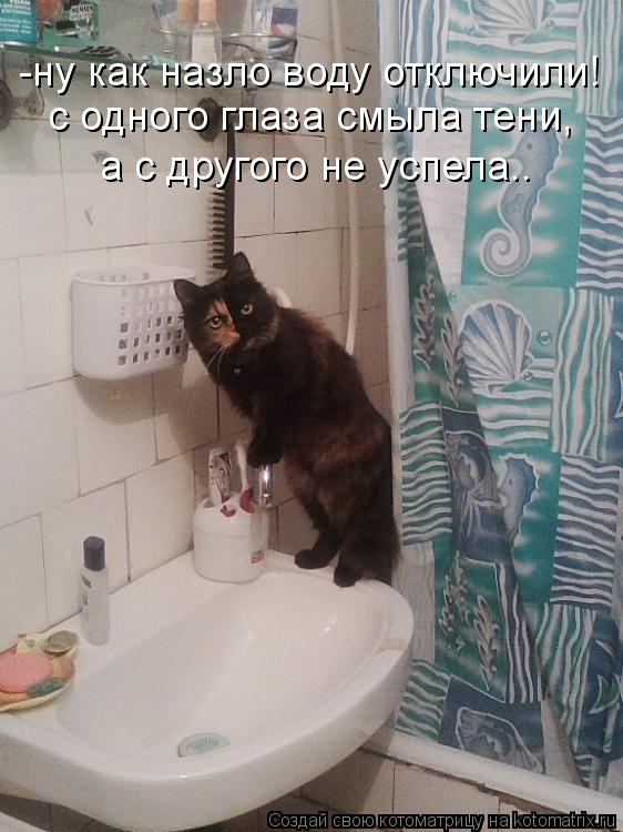 -ну как назло воду отключили! с одного глаза смыла тени, а с другого не успела..... Котоматрица: -ну как назло воду отключили! с одного глаза смыла тени, а с другого не успела..