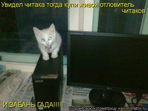 Увидел читака тогда купи живой отловитель читаков И ЗАБАНЬ ГАДА!!!!!... Котоматрица: Увидел читака тогда купи живой отловитель читаков И ЗАБАНЬ ГАДА!!!!!