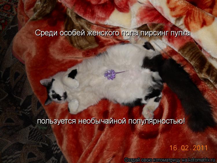 Среди особей женского пола пирсинг пупка пользуется необычайной популярностью!... Котоматрица: Среди особей женского пола пирсинг пупка пользуется необычайной популярностью!
