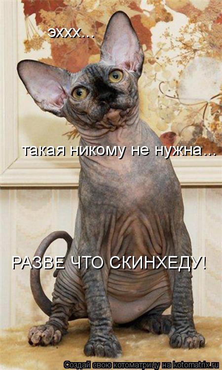 эххх... такая никому не нужна... РАЗВЕ ЧТО СКИНХЕДУ!... Котоматрица: эххх... такая никому не нужна... РАЗВЕ ЧТО СКИНХЕДУ!