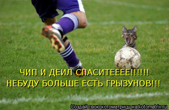 ЧИП И ДЕИЛ СПАСИТЕЕЕЕ!!!!!! НЕБУДУ БОЛЬШЕ ЕСТЬ ГРЫЗУНОВ!!!... Котоматрица: ЧИП И ДЕИЛ СПАСИТЕЕЕЕ!!!!!! НЕБУДУ БОЛЬШЕ ЕСТЬ ГРЫЗУНОВ!!!
