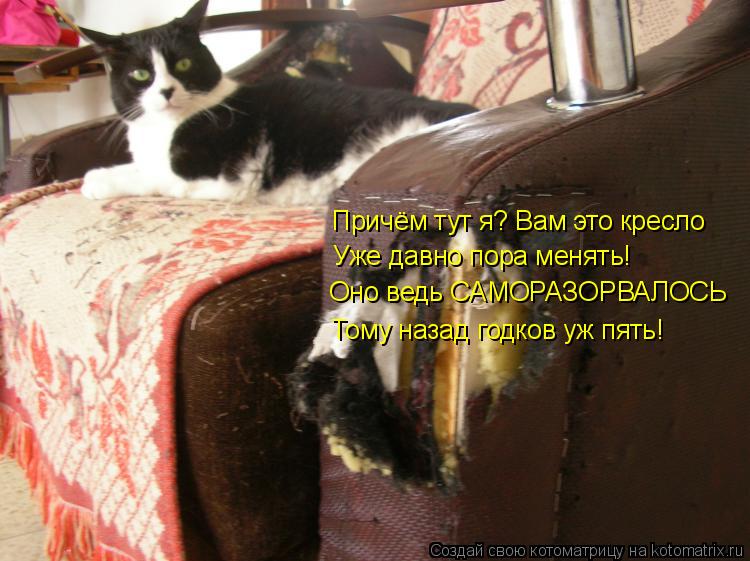 Причём тут я? Вам это кресло Уже давно пора менять! Тому назад годков уж пять! Оно ведь САМОРАЗОРВА... Котоматрица: Причём тут я? Вам это кресло Уже давно пора менять! Тому назад годков уж пять! Оно ведь САМОРАЗОРВАЛОСЬ