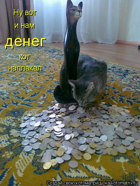 Ну вот и нам денег кот наплакал... Котоматрица: Ну вот и нам денег кот наплакал