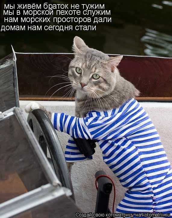мы живём браток не тужим мы в морской пехоте служим домам нам сегодня стали нам морских просторов да... Котоматрица: мы живём браток не тужим мы в морской пехоте служим домам нам сегодня стали нам морских просторов дали