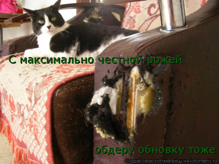 С максимально честной рожей обдеру обновку тоже... Котоматрица: С максимально честной рожей обдеру обновку тоже
