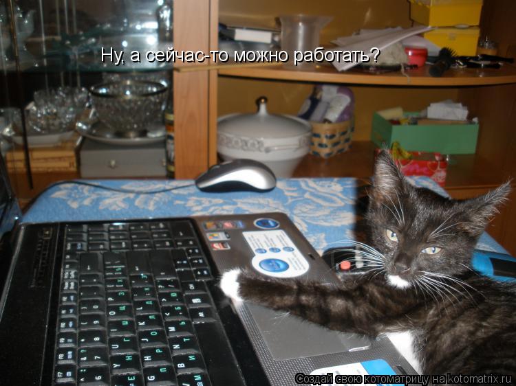 Ну, а сейчас-то можно работать?... Котоматрица: Ну, а сейчас-то можно работать?