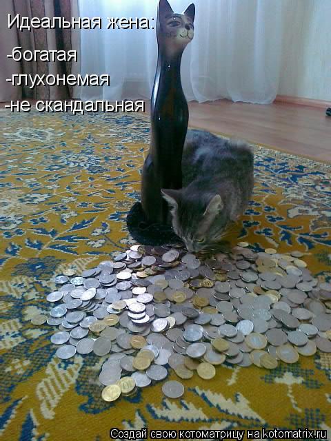 Идеальная жена: -богатая -глухонемая -не скандальная... Котоматрица: Идеальная жена: -богатая -глухонемая -не скандальная