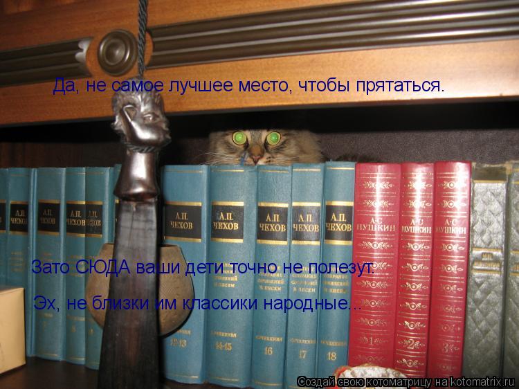 Да, не самое лучшее место, чтобы прятаться. Зато СЮДА ваши дети точно не полезут. Эх, не близки им кл... Котоматрица: Да, не самое лучшее место, чтобы прятаться. Зато СЮДА ваши дети точно не полезут. Эх, не близки им классики народные...
