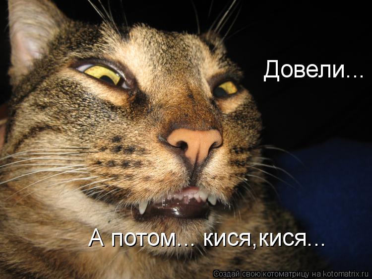 Довели... А потом... кися,кися...... Котоматрица: Довели... А потом... кися,кися...