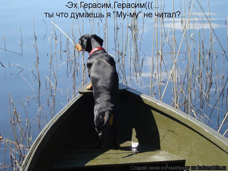 -Эх,Герасим,Герасим(((... ты что думаешь я "Му-му" не читал?..... Котоматрица: -Эх,Герасим,Герасим(((... ты что думаешь я "Му-му" не читал?..