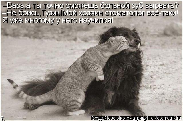 --Вась,а ты точно сможешь больной зуб вырвать? --Не боись,Тузик!Мой хозяин стоматолог всё-таки! Я уже... Котоматрица: --Вась,а ты точно сможешь больной зуб вырвать? --Не боись,Тузик!Мой хозяин стоматолог всё-таки! Я уже многому у него научился!