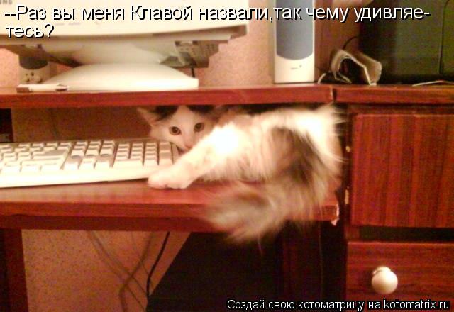 --Раз вы меня Клавой назвали,так чему удивляе- тесь?... Котоматрица: --Раз вы меня Клавой назвали,так чему удивляе- тесь?