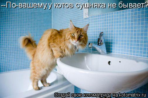 --По-вашему,у котов сушняка не бывает?... Котоматрица: --По-вашему,у котов сушняка не бывает?