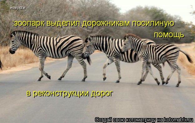 новости :зоопарк выделил дорожникам посилиную помощь в реконструкции дорог... Котоматрица: новости :зоопарк выделил дорожникам посилиную помощь в реконструкции дорог