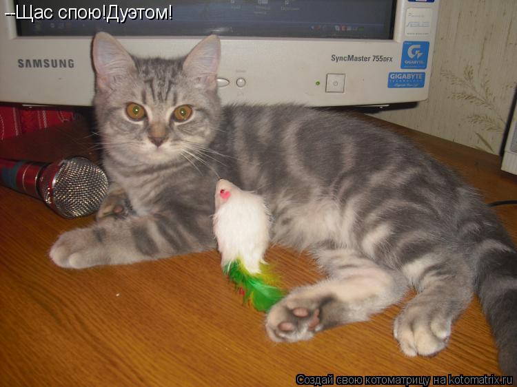--Щас спою!Дуэтом!... Котоматрица: --Щас спою!Дуэтом!